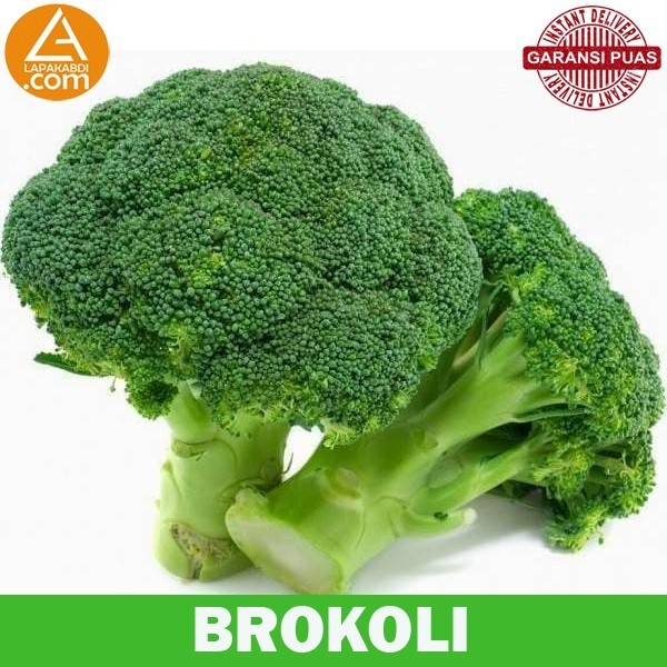 

Brokoli 500gr Sayur Segar Garansi Termurah