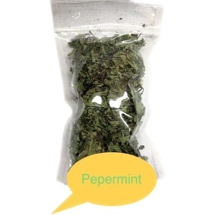 

daun mint kering pepermint fresh