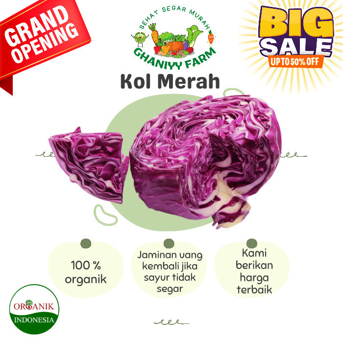 

Sayur Organik Murah by Organik Indonesia Kol Ungu Organik