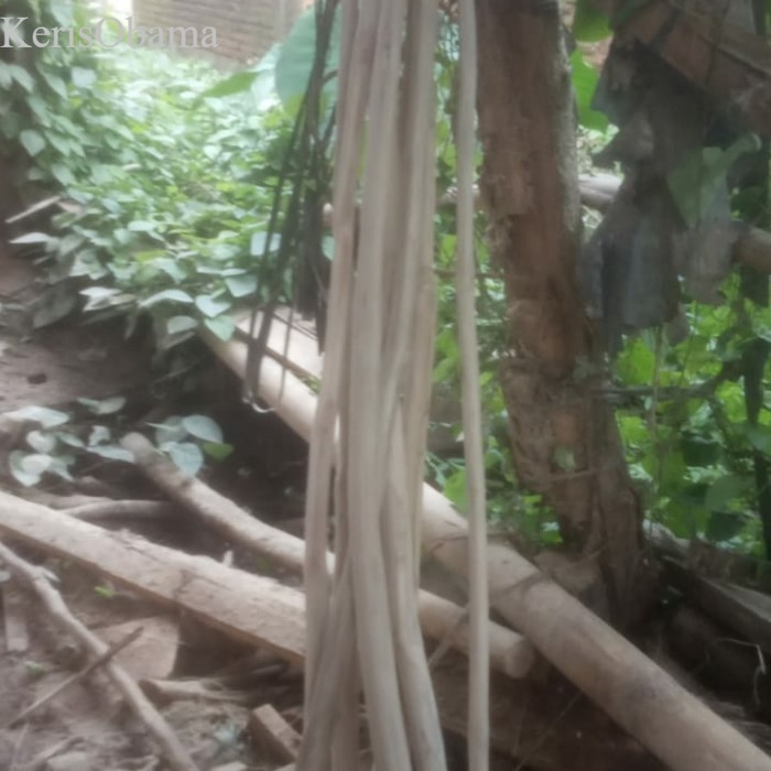 

ranting kayu jati murah