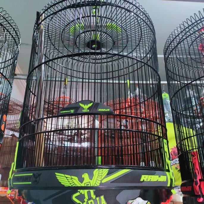 Sangkar Burung Radja 3D Carbon Terbaru