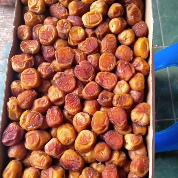 

Kurma SUKARI 3KG Basah Premium 100% Asli Original Oleh Oleh Haji dan Umroh