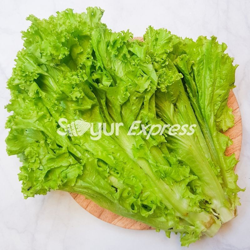 

Syegar Fresh Selada Keriting Segar