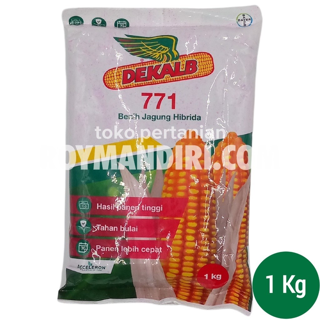 Benih Jagung DK771 @1 kg