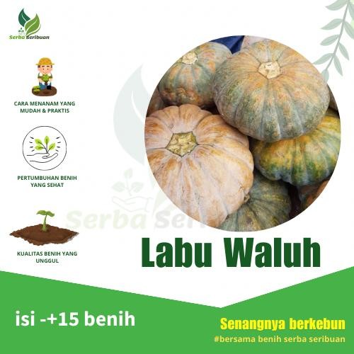 Serba Seribuan - Bibit Buah labu waluh