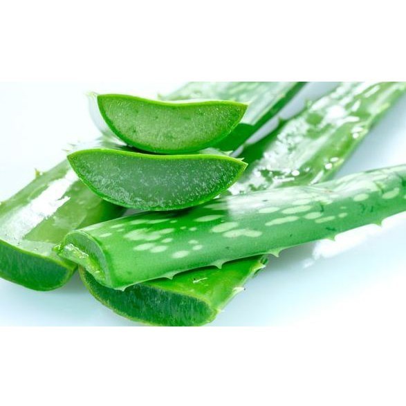 

REMPAH Pelepah Batang Lidah Buaya Organik Herbal Alami Aloevera 1 Kg Asli