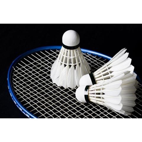 KUALITAS PREMIUM SHUTTLECOCK KOK BULUTANGKIS BADMINTON BULU ANGSA ASLI BUKAN PLASTIK YONEX AEROSENSA