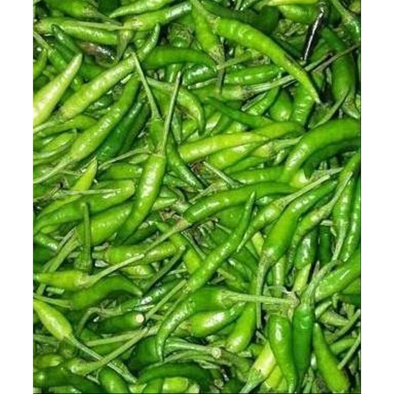 Cabai Cabe Rawit Hijau Ijo PETIK Green Bird's Eye Chili 500 gr - 1 kg