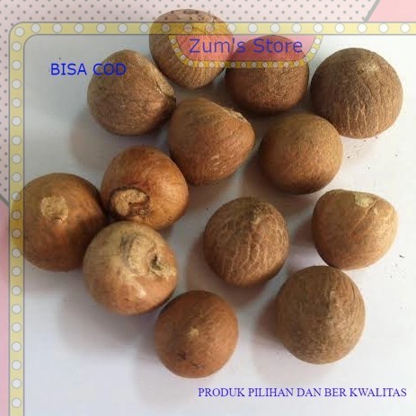 

promo Biji pinang Tua Utuh Jambe Kering jamu Herbal Alami /1pcs