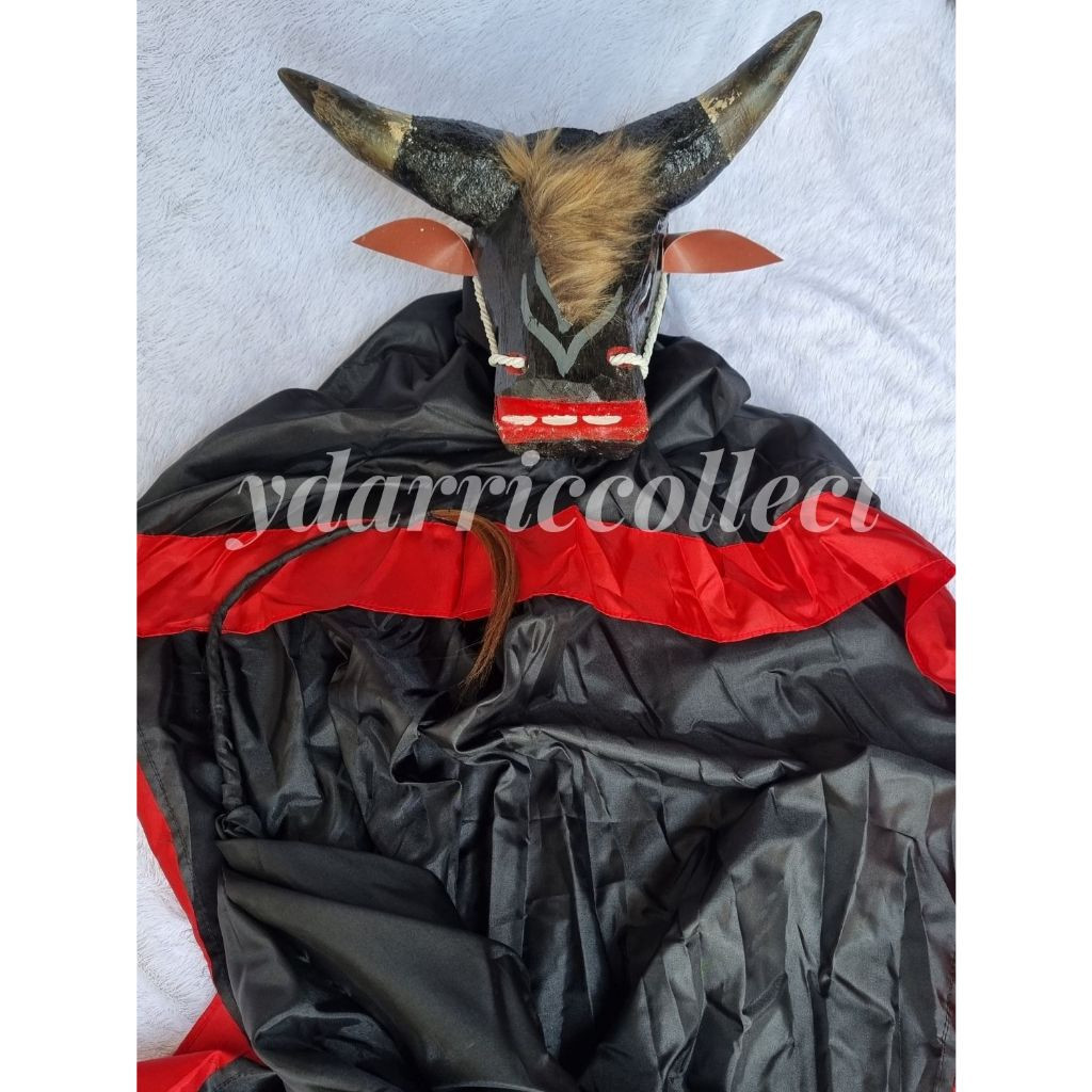 Bantengan tanduk asli free kain kemul panjang Banteng Kayu