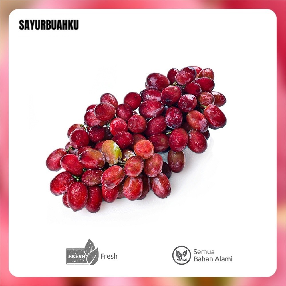 

Anggur Red Globe 1 Kg HUTANG BELUM BAYAR DITUNGGU PELUNASANNYA BALAS CH4T SOPI