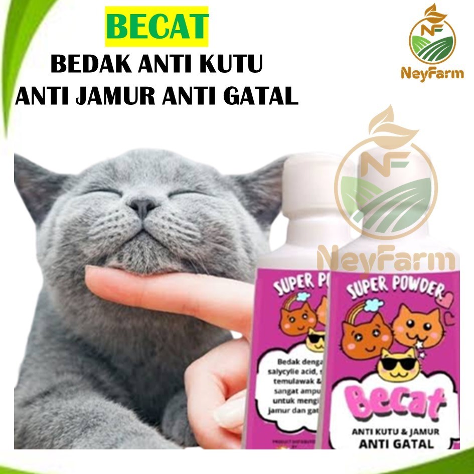 BECAT Powder Bedak Kucing Anti Kutu Jamur Dan Gatal Bedak Wangi Kucing