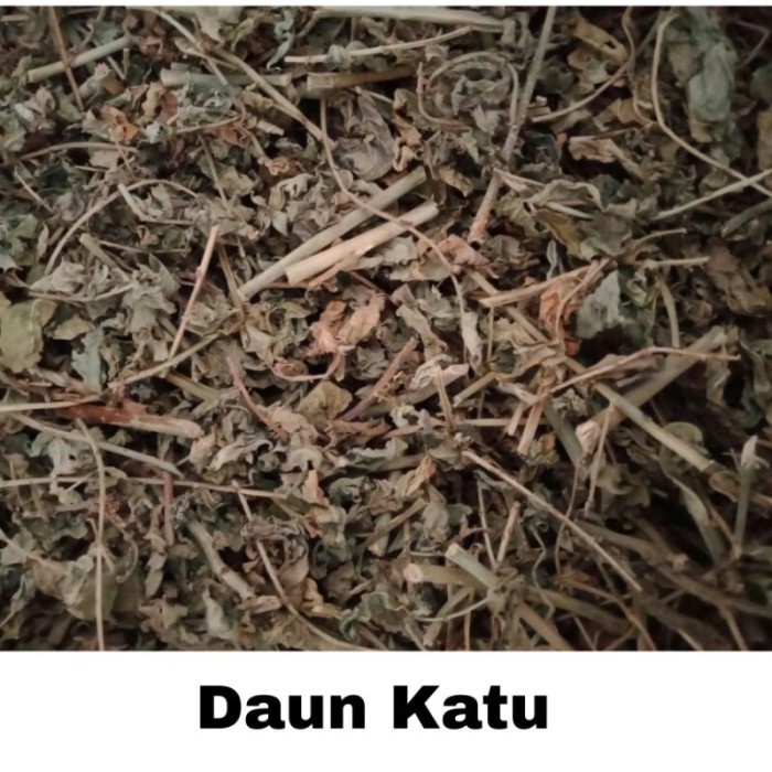 

Bubuk Daun Katu Kering 1 kg Tanaman Herbal Free Stiker PIRT Random