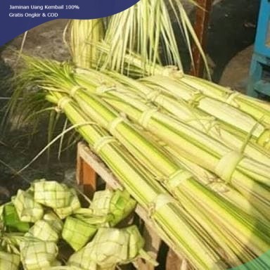 

Promo COD Janur kelapa atau daun kelapa muda