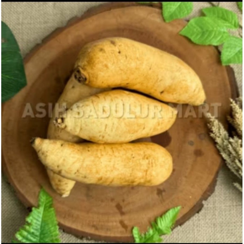

Ubi Kuning besar manis 1kg