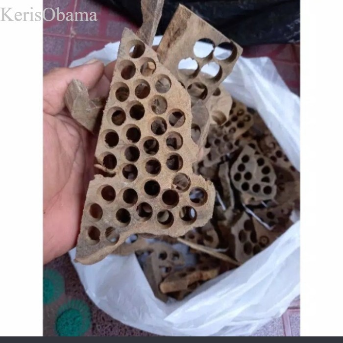 

Kayu gaharu asli kayu gaharu bakar 1kg kayu gaharu Kalimantan murah