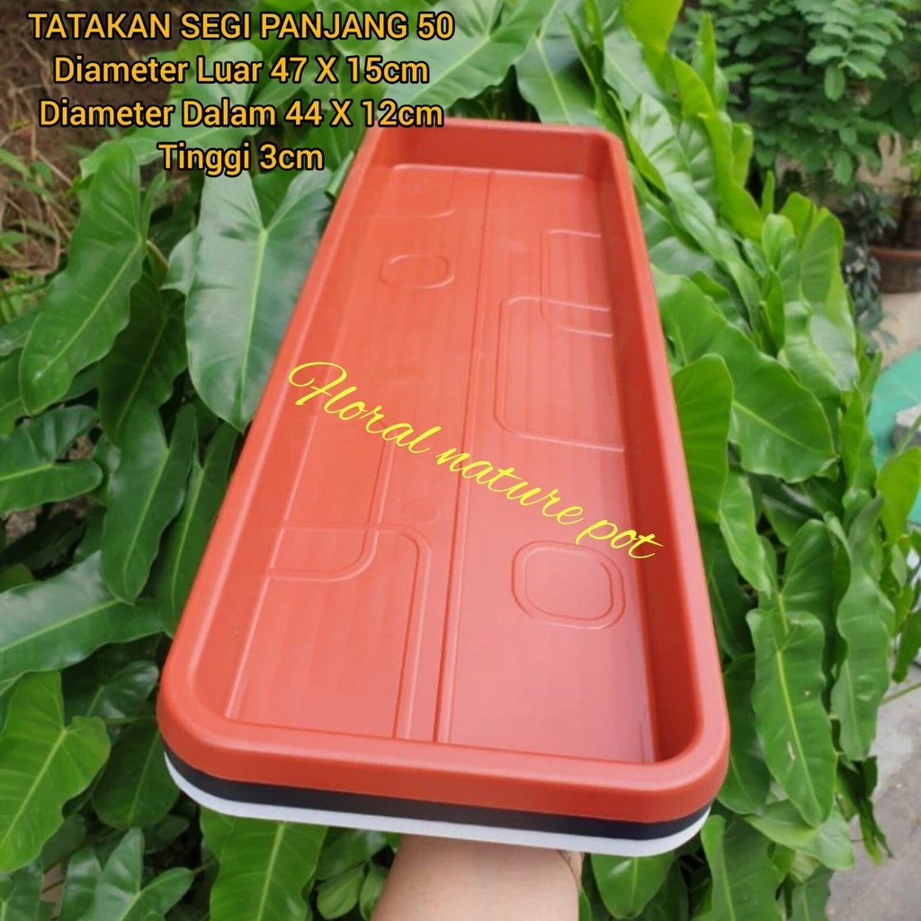 TATAKAN pot bunga KOTAK SEGI PANJANG 50: alas pot bunga alpen high way 55 fortuna plast