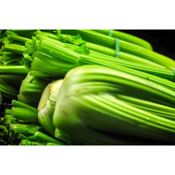 

Sayur Segar Seledri/Celery Stick 1kg SEHAT SEGAR