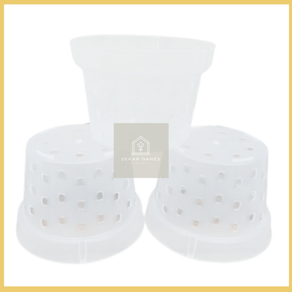 DENDRO 20 Bening Transparan Pot Poros Pot Lubang Banyak Samping Pot Anggrek Aglonema