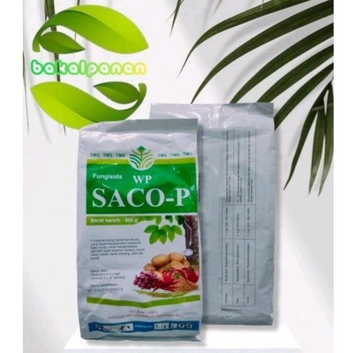 Fungisida WP SACO P trichoderma