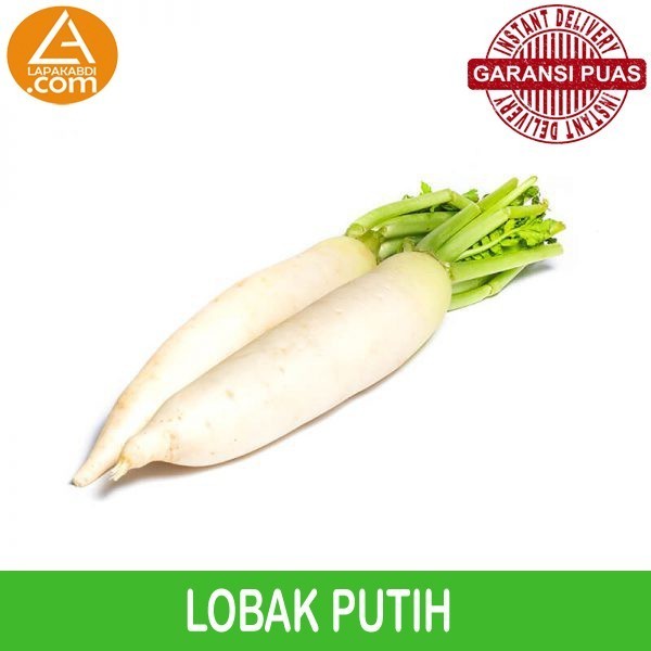 

Lobak Putih 500gr Sayur Segar Garansi Termurah