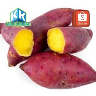 

ubi jalar segar 1kg empuk rasa manis