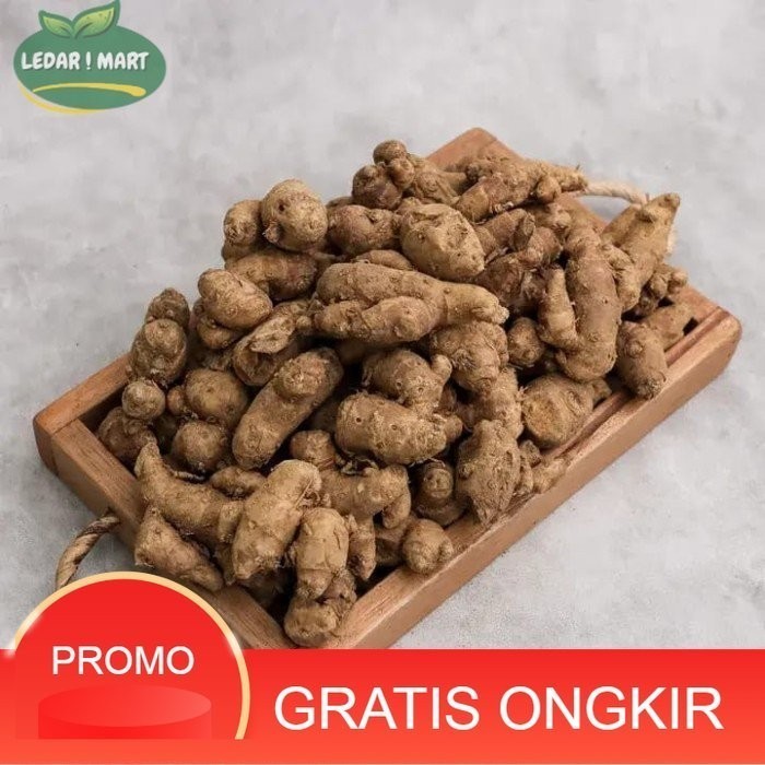 

Kencur Segar Organik