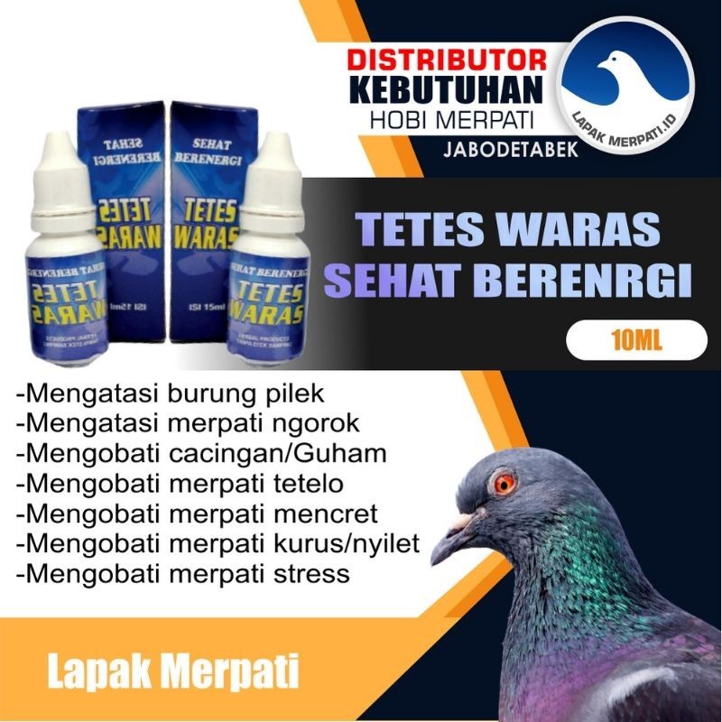 doping merpati terbukti ampuh cepat keket dan giring