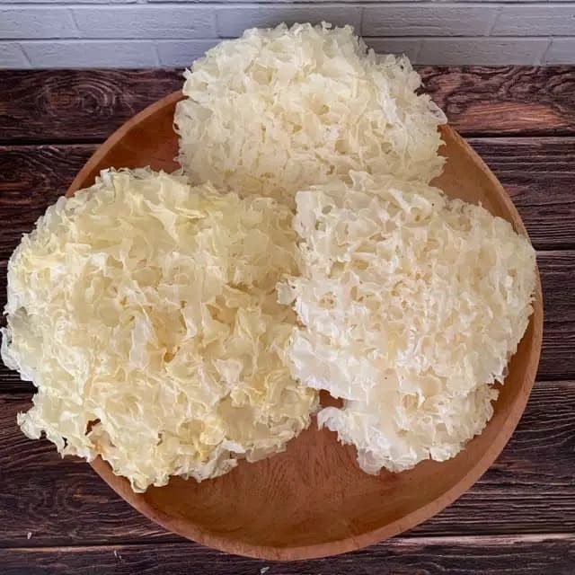 

Jamur Putih white Fungus Pek Bok Ni