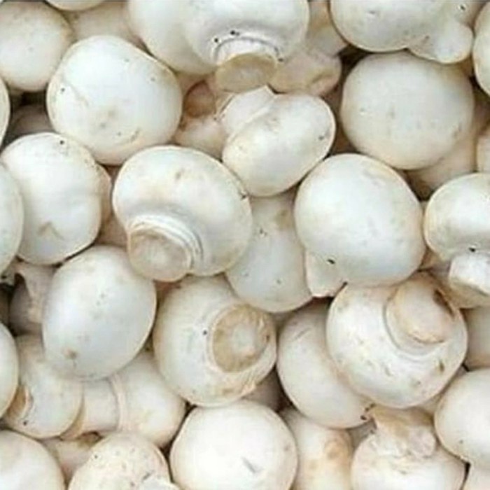 

jamur champignon 1kg