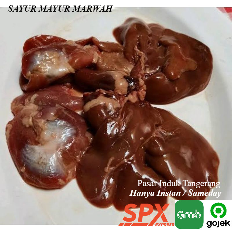 

Grosir 5 Pasang Hati dan Ampela Murah