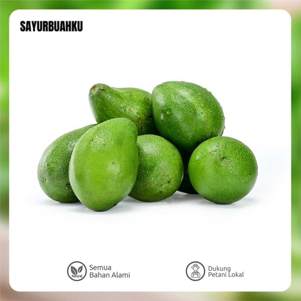 

Alpukat Mentega Super 2.95 - 3 Kg HUTANG BELUM BAYAR DITUNGGU PELUNASANNYA BALAS CH4T SOPI