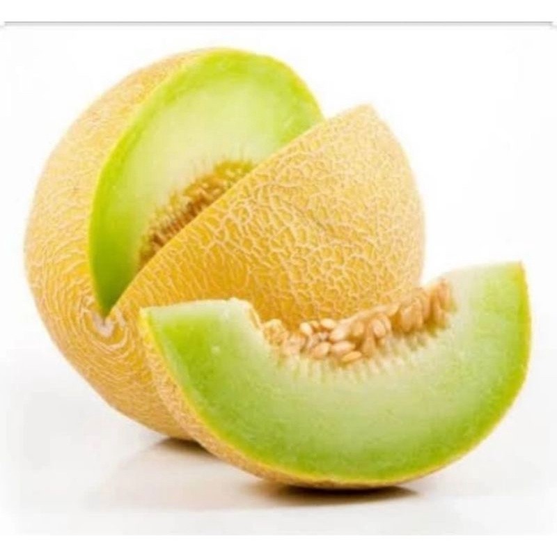 

Syegar Fresh Melon Hijau 1 buah 1,5-2kg