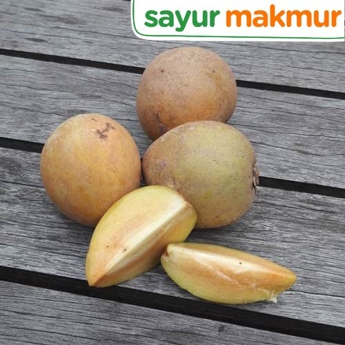 

Sawo Konvensional 500 gram Sayurmakmur