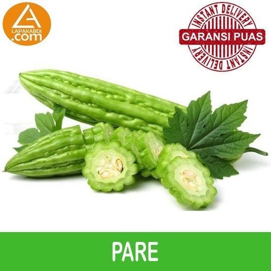 

Pare Segar 500gr Sayur Segar Garansi Termurah