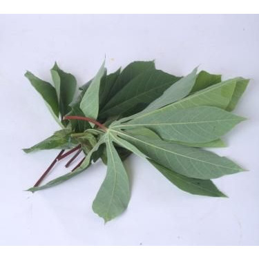 

Daun singkong per iket