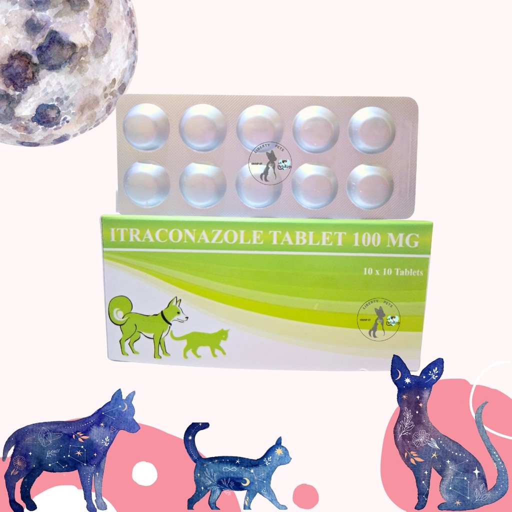 Itraconazole 100mg Obat Anti Jamur Ringworm Kucing Anjing (1 TABLET)