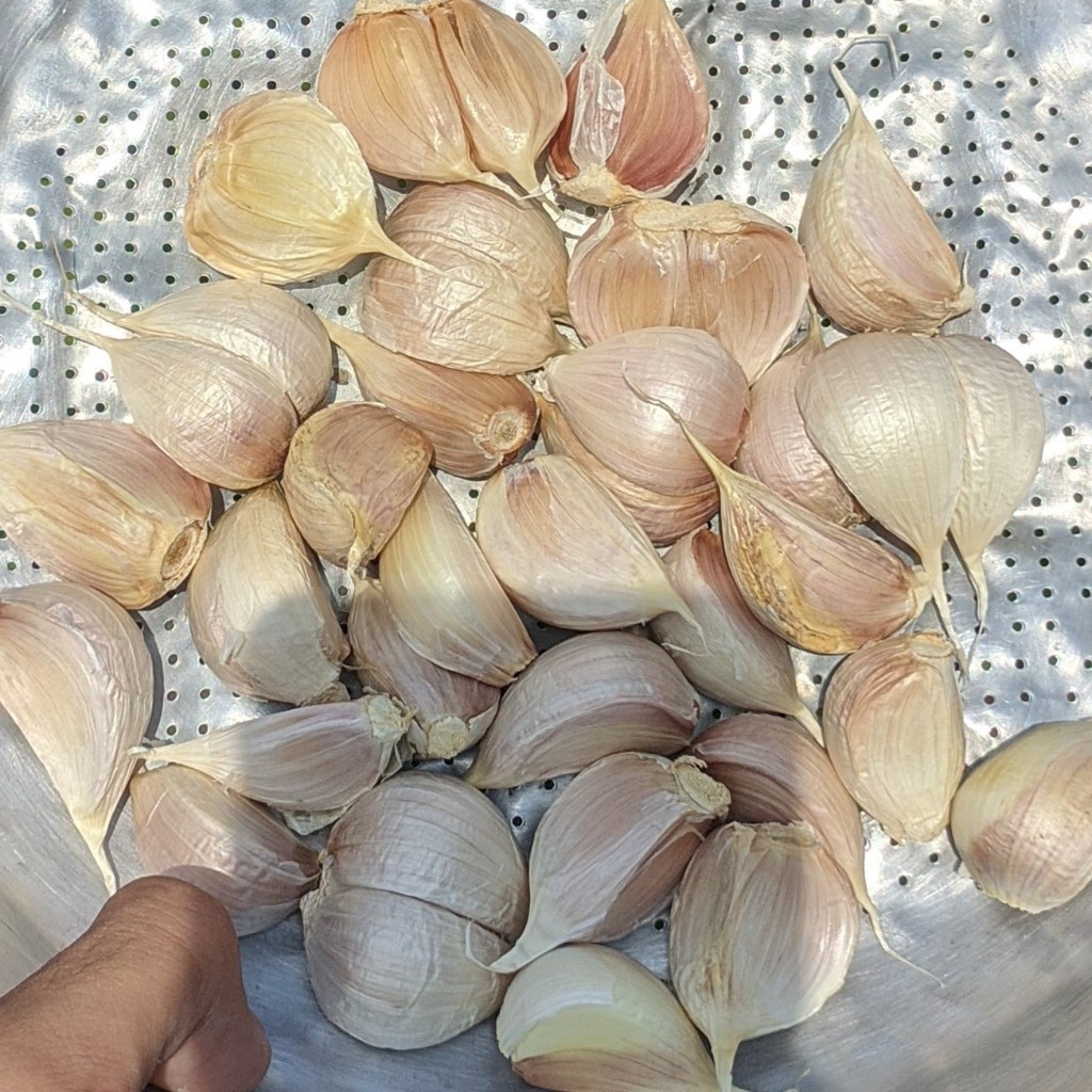

Bawang Putih Kating Ukuran Reguler 1kg Fresh Termurah