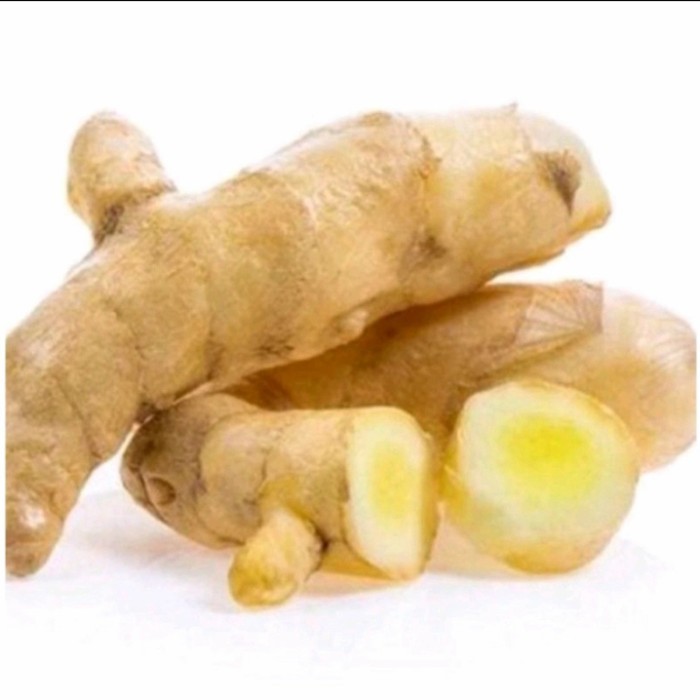 

temu po /temu mangga 1kg