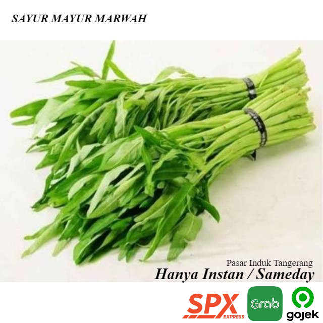 

Grosir Sayur Kangkung Segar Ikat Kiloan Murah