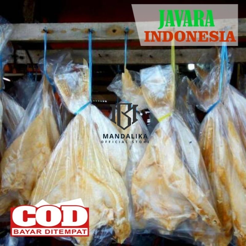 

ikan asin jambal roti kualitas super khas pangandaran 500gr
