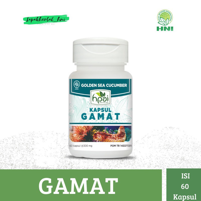 Gamat Kapsul HNI HPAI Mengatasi Sakit Pinggang Suplemen Tulang dan Sendi