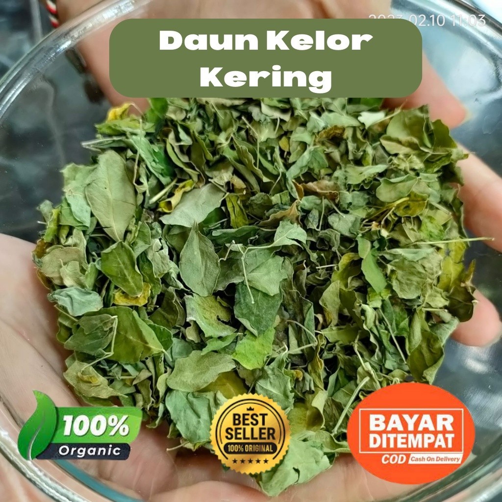 

Daun kelor kering super kualitas ekspor