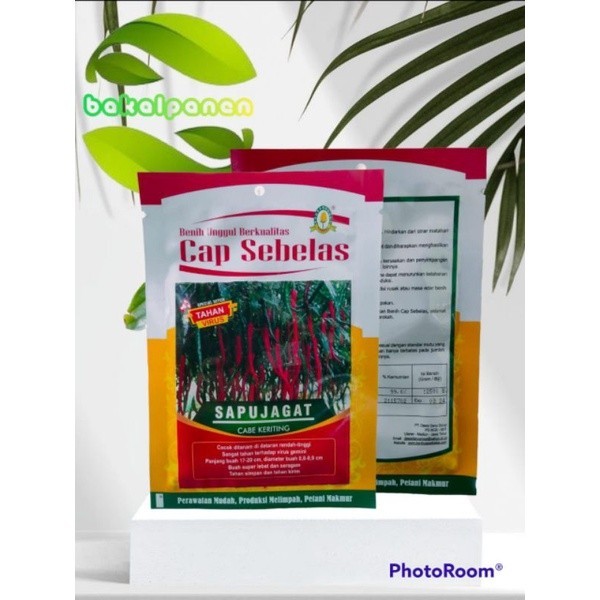 Benih bibit cabe keriting tahan virus cap sebelas SAPUJAGAT 10gr