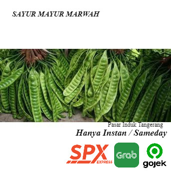 

Grosir Per 1 Papan Pete Petai Segar Murah