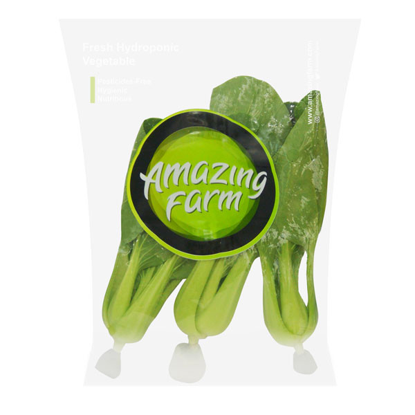 PAKCOY HYDROPONIK PACK