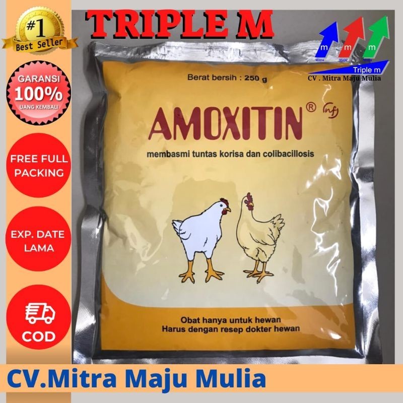 Amoxitin 250gr Medion obat korisa