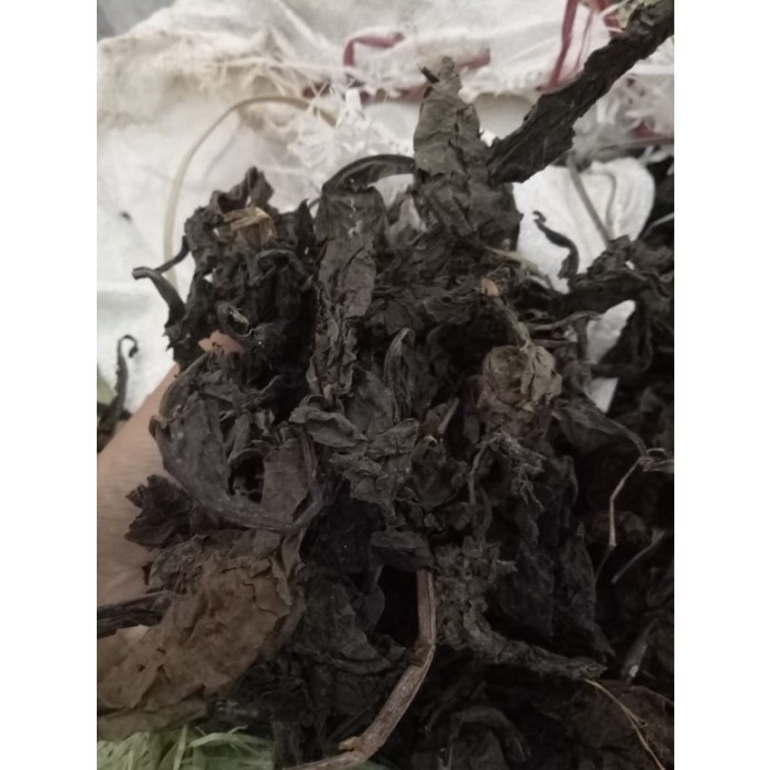 

Bubuk Daun Ungu Kering 1 kg Tanaman Herbal Free Stiker PIRT Random