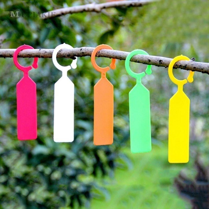 

10 Pcs Label Tanaman Waterproof Label Tag Tanaman Warna Name Tag Pohon