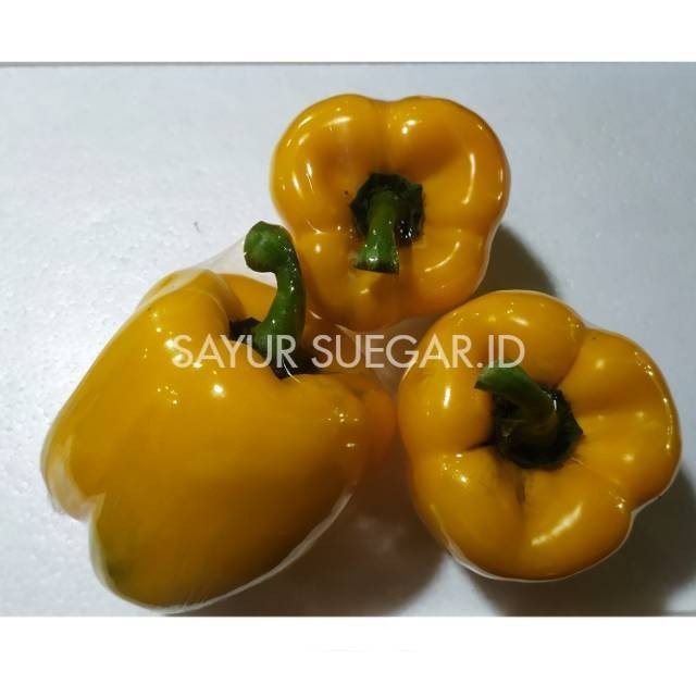 

Paprika kuning/500 gram